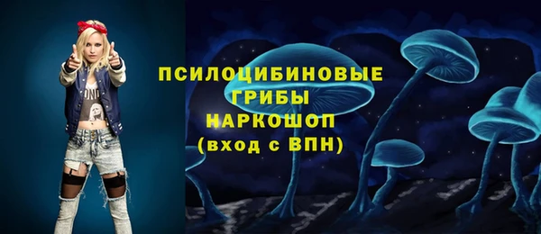 а пвп мука Новозыбков