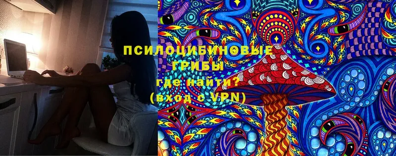 Галлюциногенные грибы Cubensis  Губкинский 