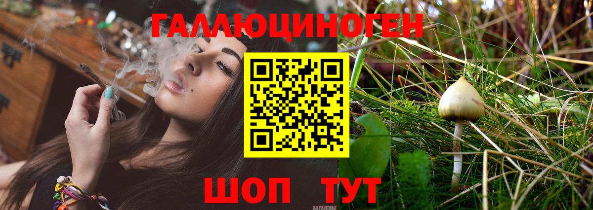 Губкинский  Галлюциногенные грибы MAGIC MUSHROOMS  Вход с VPN 